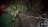 Thumbnail 39