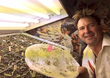 seed starting indoors