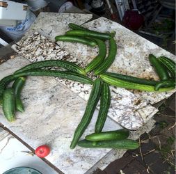 Gustapio Soup ingredients