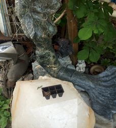 energized babies on earthkeeper quartz crystal