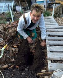 prepping soil (for carrot seed)