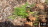 Thumbnail 113