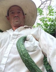 happy to see me or just a pickle in my pocket?