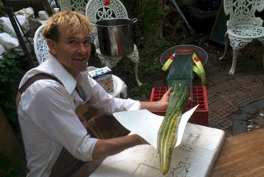 Limp necked Larry sliding into Fermentasia.