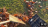 Thumbnail 54