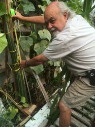 August 26. Don Burnet measuring Big Larry