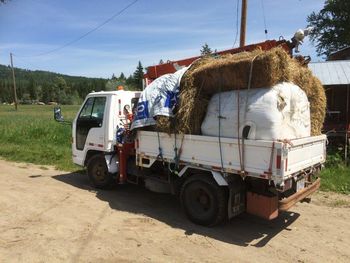 Found some rolls of silage from Armstrong way