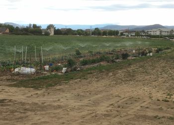 Main overhead spray heads will let small fish heads through without filtering!
The irrigation ditch has thick water!

Irrigation
[/the-ferment-farm/posts/categories/irrigation]