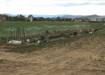Main overhead spray heads will let small fish heads through without filtering!
The irrigation ditch has thick water!

Irrigation
[/the-ferment-farm/posts/categories/irrigation]