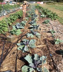 a strange irrigation head?

Irrigation
[/the-ferment-farm/posts/categories/irrigation]