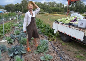 second harvest done!