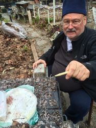 Uncle Shpuds knows how to grow cabbage. All us Russians grow great food!
