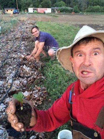 Plugging in the babies!