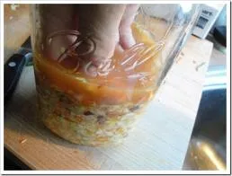 Fermented vegetables process
