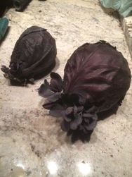 pt1 one of our cabbages hid in a box outside all winter. It started to grow babies
all on its own, so, I planted it!