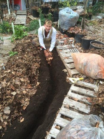 This is a double row.