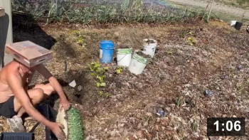 And then, just like that, out at the Ferment Farm. Planting a flat of pea shoots
n grounding.

Planting
[/the-ferment-farm/posts/categories/planting]