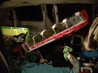 Big Larrys great road trip was a success!!!! He made it home in one piece, safe
and sound. What will his next adventure be?