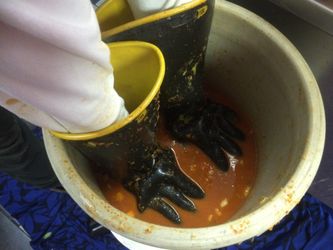 mixture is squished down into the crock to help the brine and natural veggie
juices released.