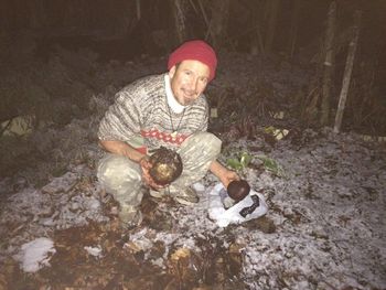 still lots of beets under the leafs.