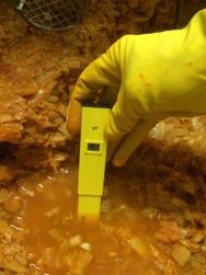 pH 3.1 …pHerfection!!
Food Safe says anything over 4.6 pH is considered high risk. Water is around 7
pH and apple cider vinegar is 2.8 pH.
Natural fermentation makes food SAFE!