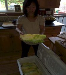 Sui Choi: Quartered then wilted in salt brine overnight