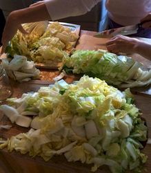 Chopping up (dont forget Diakon Radish!)