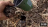 Thumbnail 99