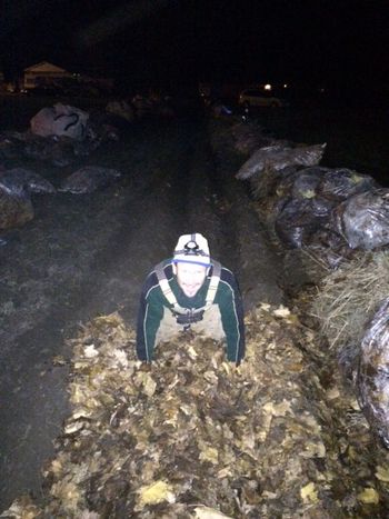 Getting into Deep Mulch Gardening! Prepping the carrot beds for spring seed
planting. Only the very tops of these beds will be exposed for seed germination.
All else is will be covered so no weeding!!!