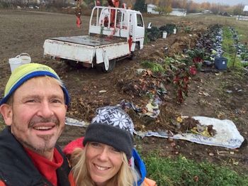 Little by little we are moving garden #4 into its new spot from running North
South…