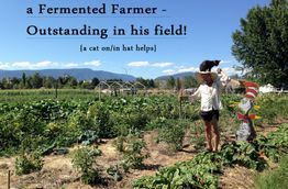 The Ferment Farm