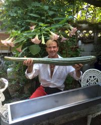 Sept 3 - OFF THE VINE AT LAST!