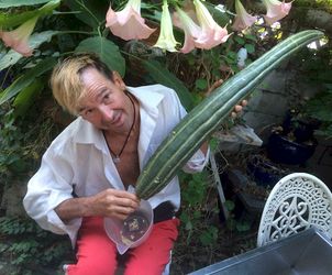 Vegetable Husbandry: Seed Shaking