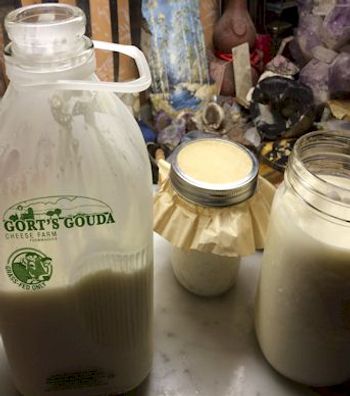 You have to have good milk first. Grass fed (no Monsanto anything!), no
antibiotics, or bovine growth hormone cows. As close to whole milk as possible.
I use http://www.gortsgoudacheese.bc.ca/ [http://www.gortsgoudacheese.bc.ca/]