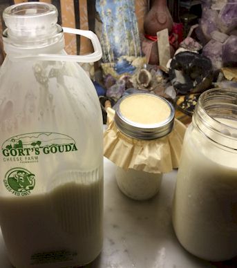 You have to have good milk first. Grass fed (no Monsanto anything!), no
antibiotics, or bovine growth hormone cows. As close to whole milk as possible.
I use http://www.gortsgoudacheese.bc.ca/ [http://www.gortsgoudacheese.bc.ca/]