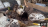 Thumbnail 38