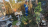Thumbnail 142