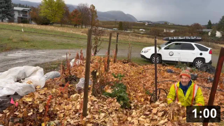 “Swimmingly”

Mulch Gardening
[/the-ferment-farm/posts/categories/mulch-gardening]