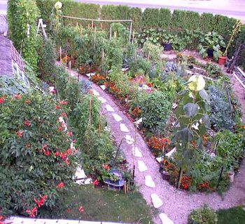 Abundance! By August we were forcing food upon everyone we knew.