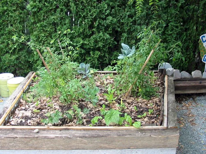 Garden box 2