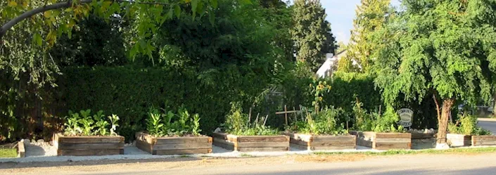 Garden Boxes September 2005