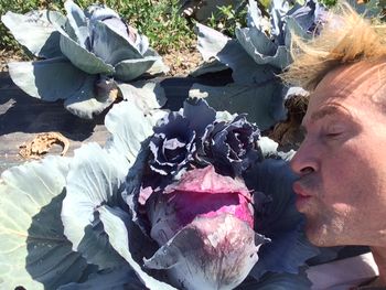 Happy Cabbages come from kissing