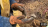 Thumbnail 48