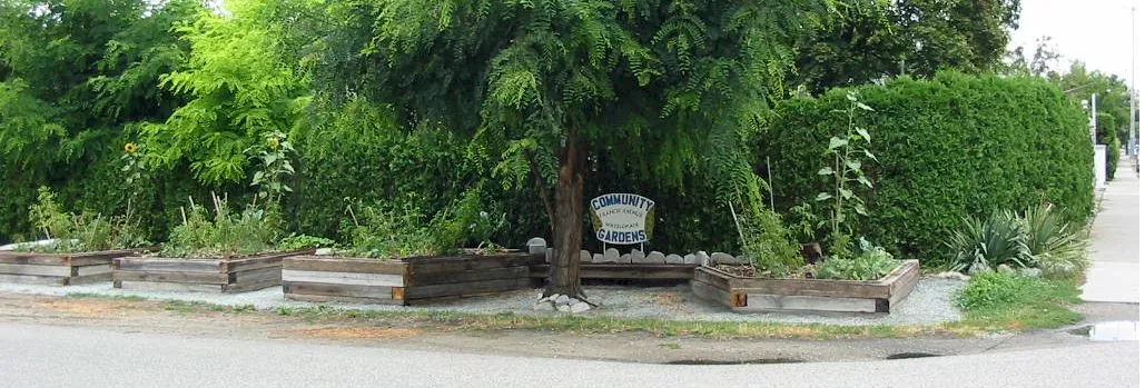 Garden Corner