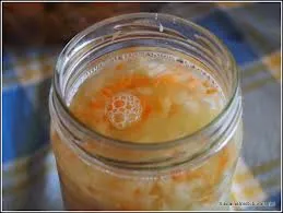 Fermented vegetables top view