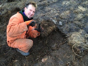 we took apart old bales and fit them together like pavers and put sprouted soy
beans between. No weeding!