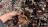 Thumbnail 31