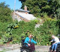 Francis Ave Community Gardens