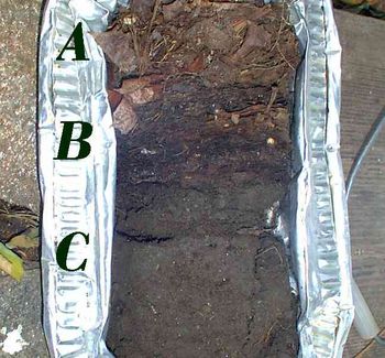 A. mid summer mulch
B. last fall’s mulch almost all loam
C. previous lawn with manure rotor tilled