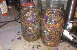 Wild Fermenting